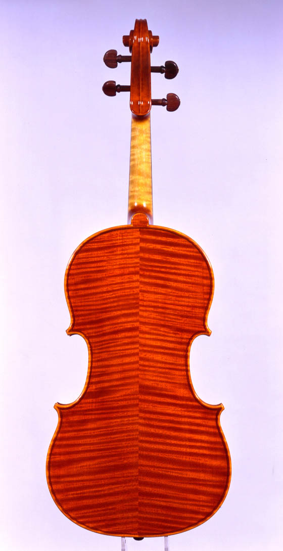 Viola back