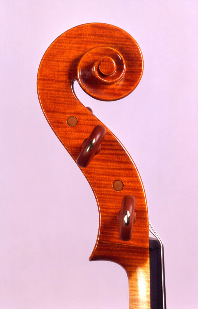 Testa Violoncello 2000