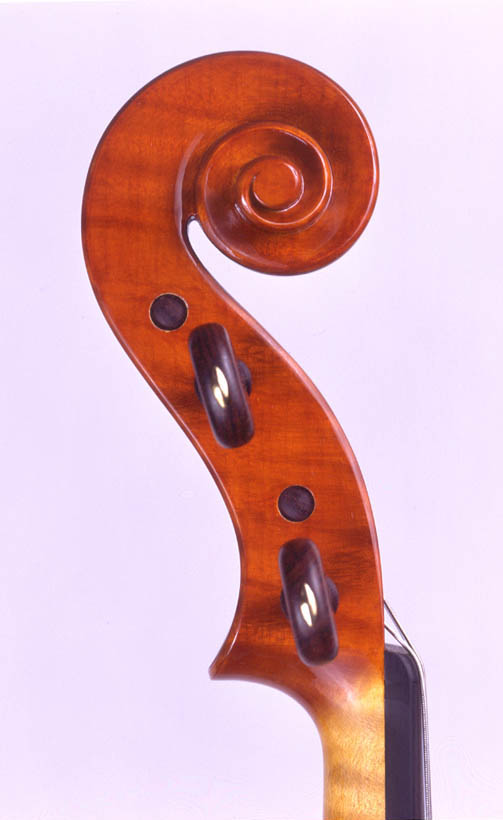 Viola head