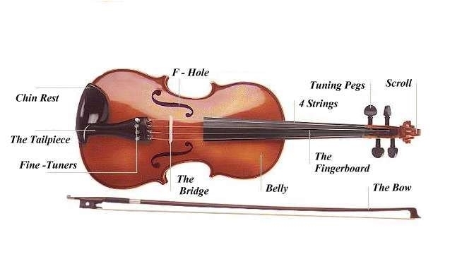 Violin